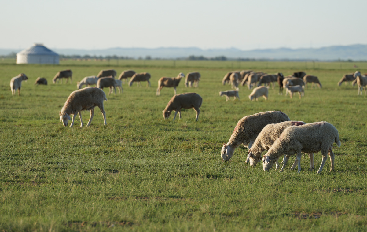 2025 MUJI無印良品可持续发展回顾